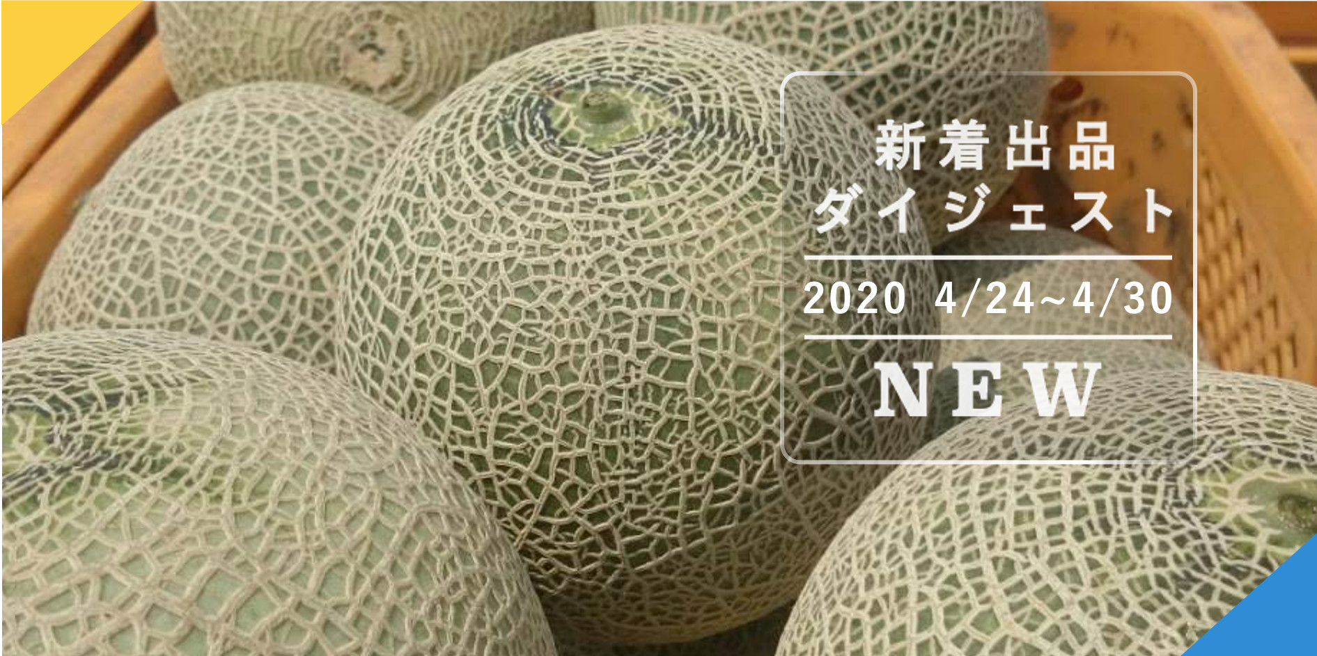 バックナンバー]今週のおすすめ後半①[新入生産者・定期・予約・全国