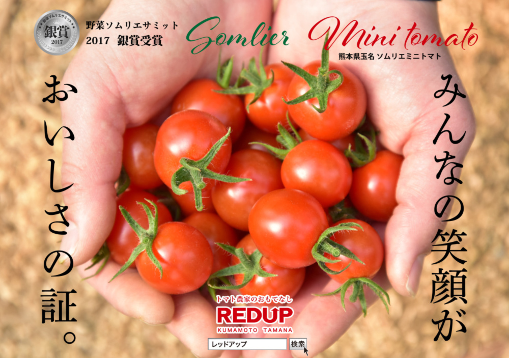 数量限定 マイクロトマト 農家漁師から産地直送の通販 ポケットマルシェ