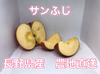 【福袋2025】特選サンふじ（特別価格）3キロから　長野県産　贈答用　減農薬