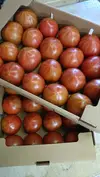 【野菜ソムリエサミット金賞】濃厚！ウエタトマトのトマト