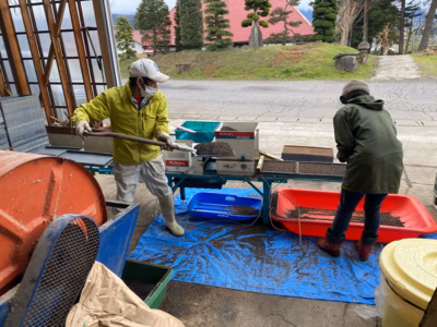 みんなの投稿の画像