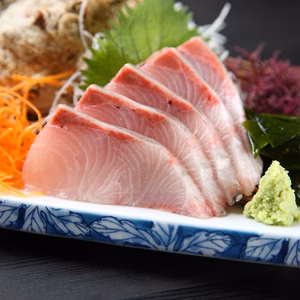 【リピーター必至の高級魚】8月発送☆青物御三家№1天然『極み』ヒラマサ刺身カット