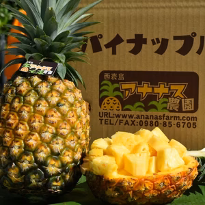 転換期間中 JASオーガニック！完熟アナナスバレル３ｋｇ(２～４個)