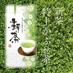 2024新茶【伊勢神宮奉納茶】特上　かぶせ茶　茶葉100g入り