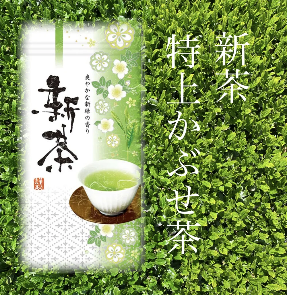 2023新茶【伊勢神宮奉納茶】特上　かぶせ茶　茶葉100g入り
