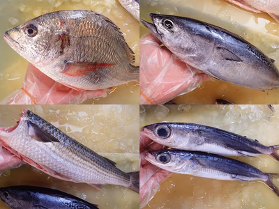 みんなの投稿の画像