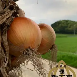 淡路島からのケル玉　健康玉ねぎ❣️