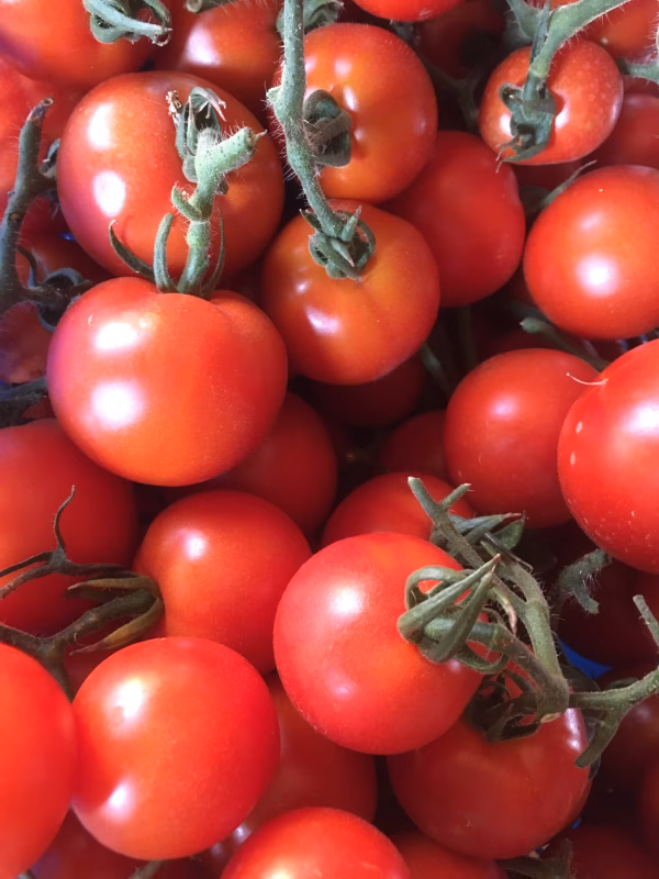 フルティカ(ミディトマト)2kg