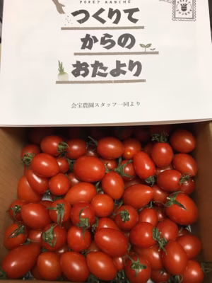 みんなの投稿の画像