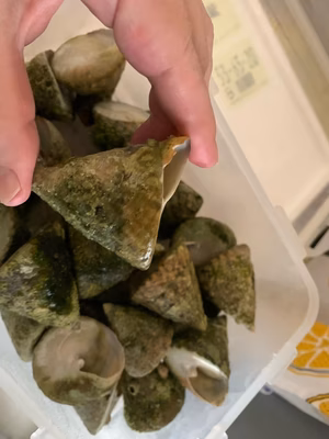 みんなの投稿の画像