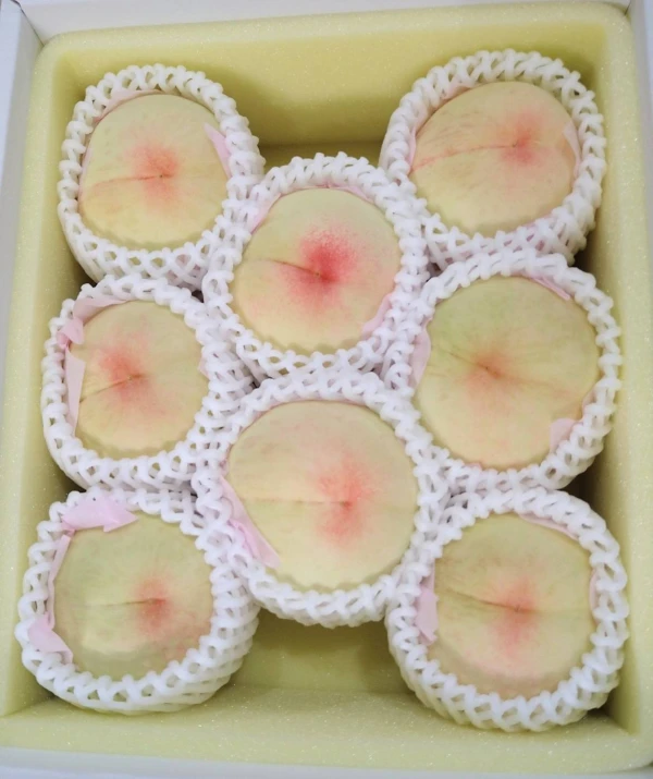 おかやまの白桃✾早生✾贈答用中箱