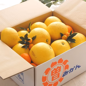 特別栽培・低農薬 「文旦＋お楽しみ柑橘」10kg