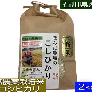 お米 令和２年産 2〜30kg 無農薬　コシヒカリ 『大地の恵』無農薬
