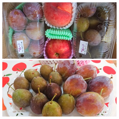 みんなの投稿の画像