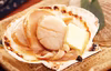 【予約限定お試し価格❗️】鮮度抜群‼️サロマ湖産活ホタテ