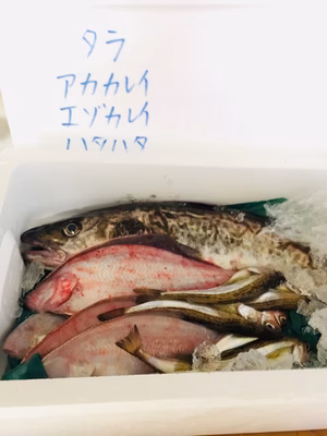 みんなの投稿の画像