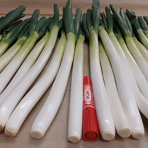 5名様限定特価✅皮むき白ネギ✅中太L/極太2L 4本増24本→1,280円❗