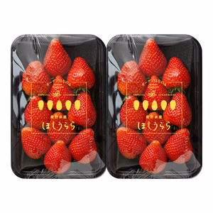 いちご   ほしうらら お任せ280g 2パック/4パック/6パック