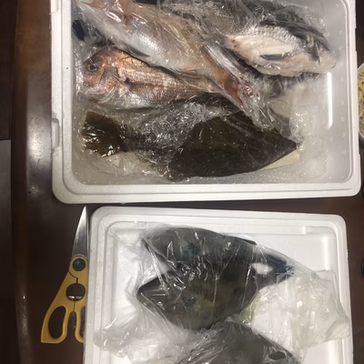 みんなの投稿の画像