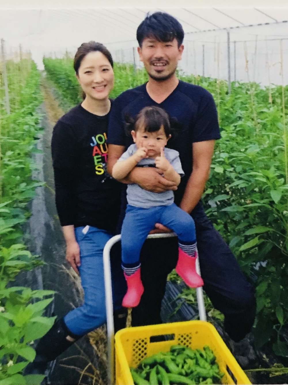 小山農園の通販 小山政代さん 農家漁師から産地直送の通販 ポケットマルシェ