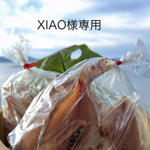 XIAO様専用