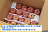 長野県産りんご　サンつがる【訳あり３㎏】9月頃出荷予定☆