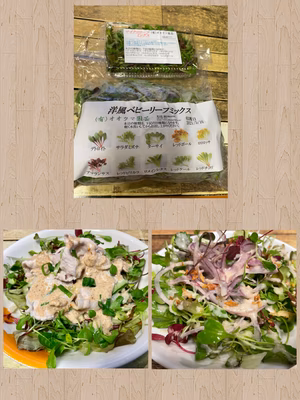 みんなの投稿の画像