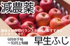 【8周年福袋】【減農薬】りんご 訳あり 9月中下旬 早生ふじ 3kg/5kg