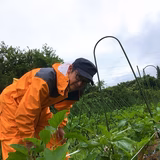 成澤増雄 | 成澤菜園