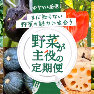 厳選野菜を2つお届け「野菜が主役の定期便」