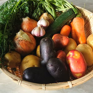 昔ながらの野菜セット（農薬、除草剤、化学肥料不使用）