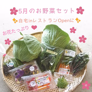 5月のお家で華やかセット　淡路島よりAwajicHorrorGarden