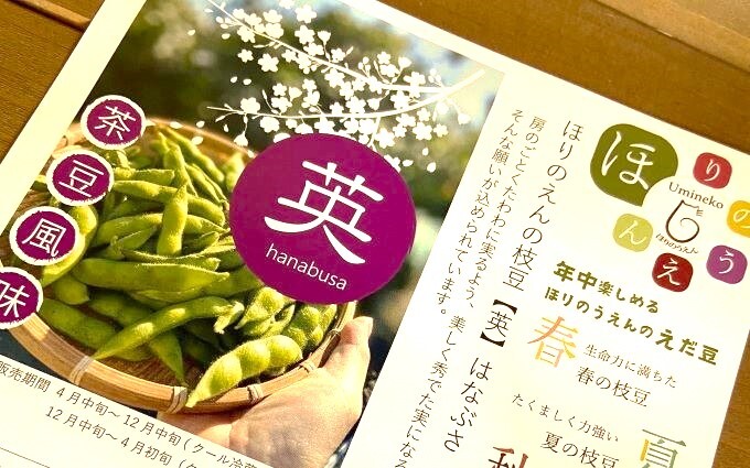 11/2から出荷開始！病みつきになってしまいそう！◇茶豆風味の枝豆【英】｜枝豆の商品詳細｜ポケットマルシェ｜産地直送で旬の食材が生産者(農家・漁師)から届く