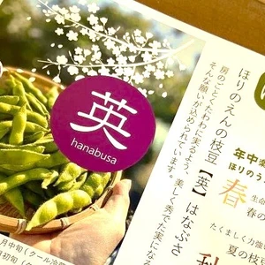 日本一早い収穫！5/22から発送！！豆風味の枝豆【英】はなぶさ