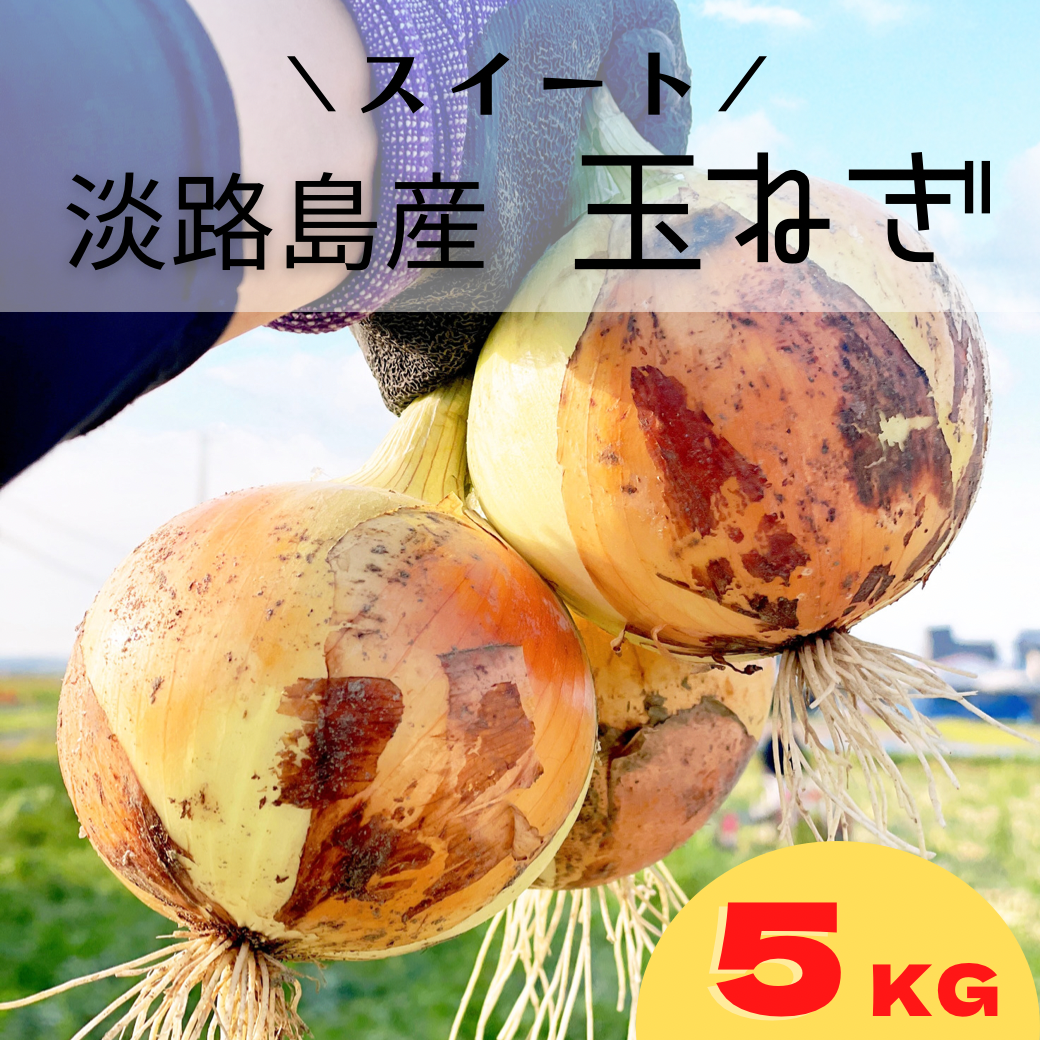 主役級!!あま〜い♪淡路島たまねぎ 5kg 5キロ 15玉前後