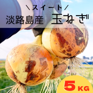 主役級！！あま〜い♪淡路島たまねぎ　5kg