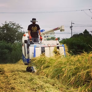 新米あいちのかおり5kg！令和7年産！鈴盛農園の愛情米！