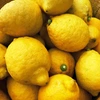 The citrus【LEMON】Ace
