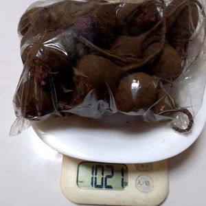 小さめお得‼️甘い八ヶ岳高原のビーツ40g （農薬・化学肥料不使用）