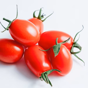 高糖度！！　熊本県不知火町産アイコミニトマト