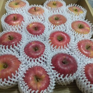 株式会社 菅野農園 菅野千秋さん 農家漁師から産地直送の通販 ポケットマルシェ