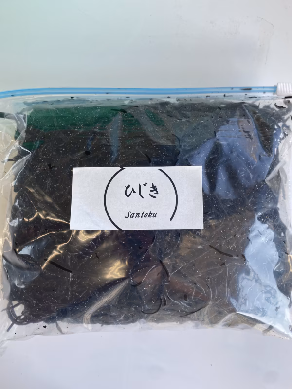 気仙沼　茹で上げ生ひじき500g✖︎2  産地直送品残りわずか