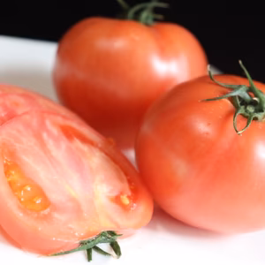ザ・トマト！トマト好きに食べて欲しいかれん