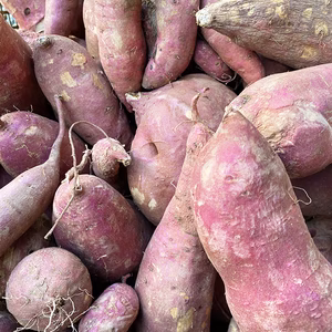 しっとり甘い！紅はるか（S～２L詰め合わせ）