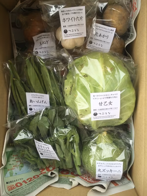 みんなの投稿の画像