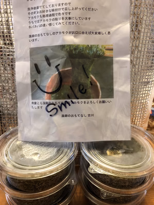 みんなの投稿の画像