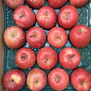 CA貯蔵品！青森県産ふじりんご5キロ【家庭用】