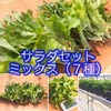 【ハウス高設栽培】サラダ野菜6種セット【無農薬】