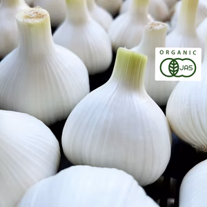 【数量限定】有機ニンニク 須賀農場