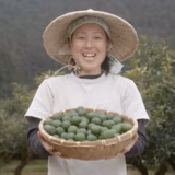 松村静香 | kinosu fruit farm